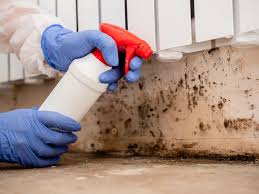  , USA Mold Remediation Pros